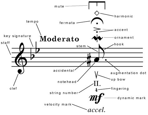 What Does Largo Mean in Music and Its Encompassing Aesthetics